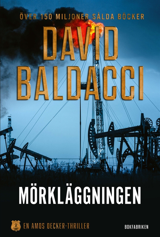 Mörkläggningen (e-bok) av David Baldacci