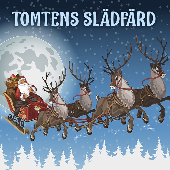 Tomtens slädfärd (ljudbok) av -