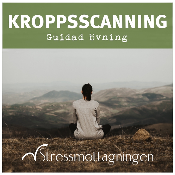 Kroppsscanning – Guidad övning