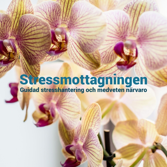 Mindfulness: Guidad stresshantering och medveten närvaro