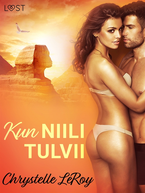 Kun Niili tulvii - eroottinen novelli