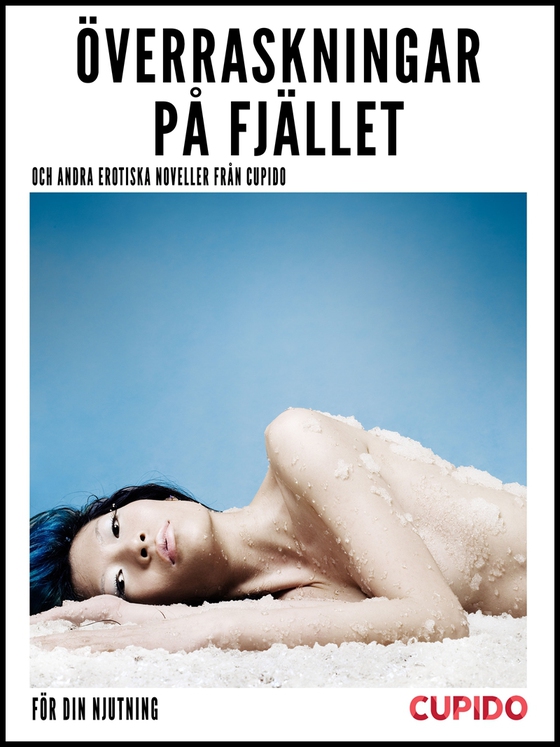 Överraskningar på fjället – och andra erotiska noveller från Cupido