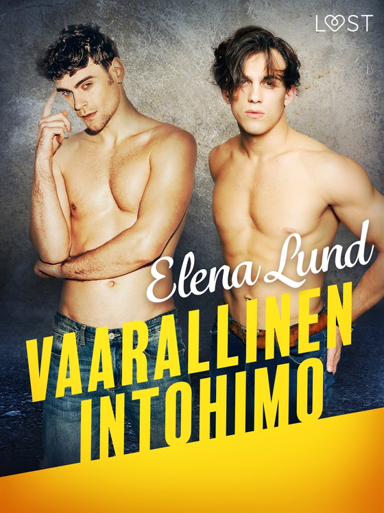 Vaarallinen intohimo - eroottinen novelli