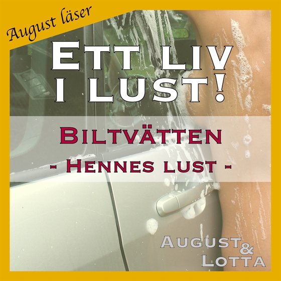 Biltvätten ~ Genom hennes ögon ~ August läser - erotiska noveller
