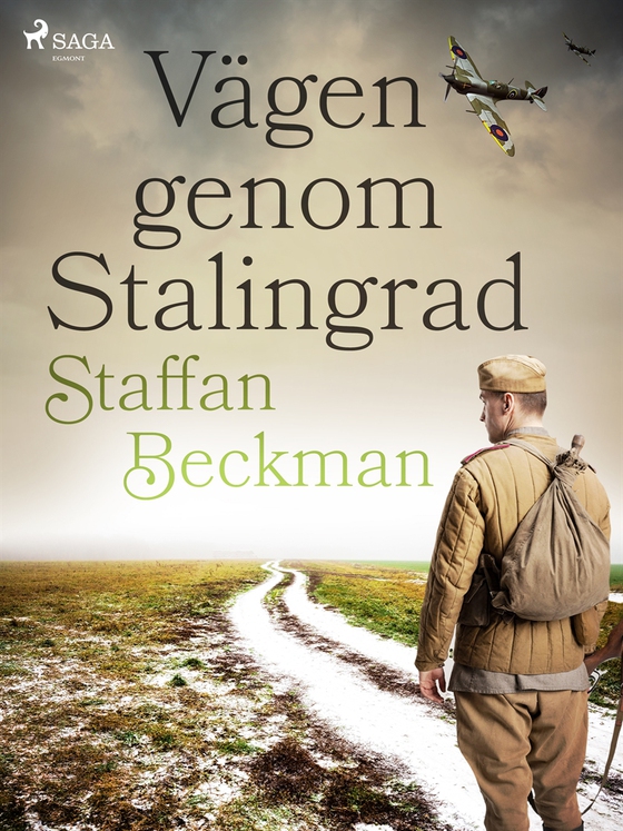 Vägen genom Stalingrad
