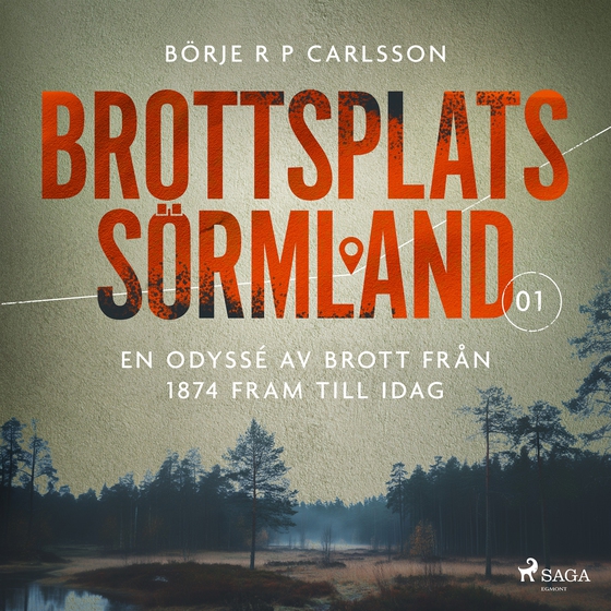 Brottsplats Sörmland. 1, En odyssé av brott från 1874 fram till idag