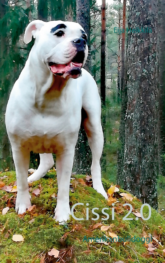 Cissi 2.0: Amerikanbulldoggi
