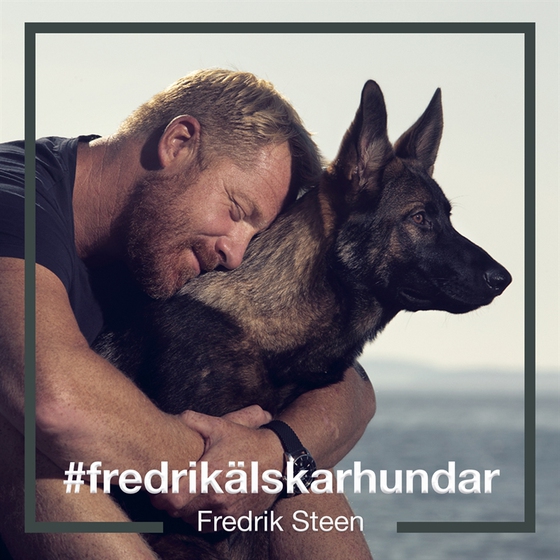 #fredrikälskarhundar : konsten att kommunicera med hundar