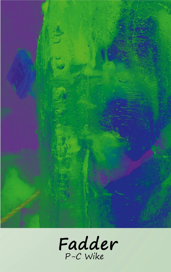 Fadder: Spår av vägledning i köttrymden