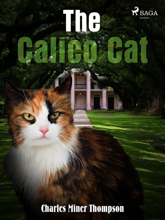 The Calico Cat (e-bok) av Charles Miner Thompson