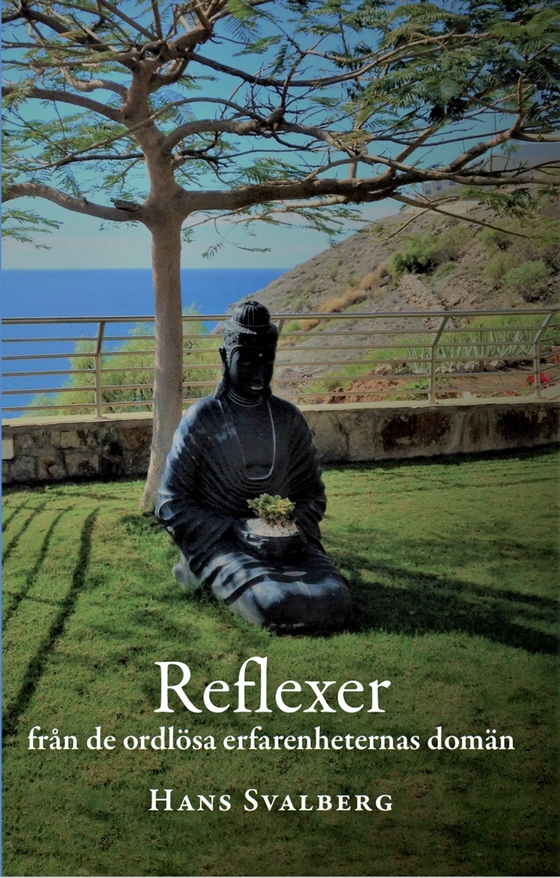 Reflexer : från de ordlösa erfarenheternas domän