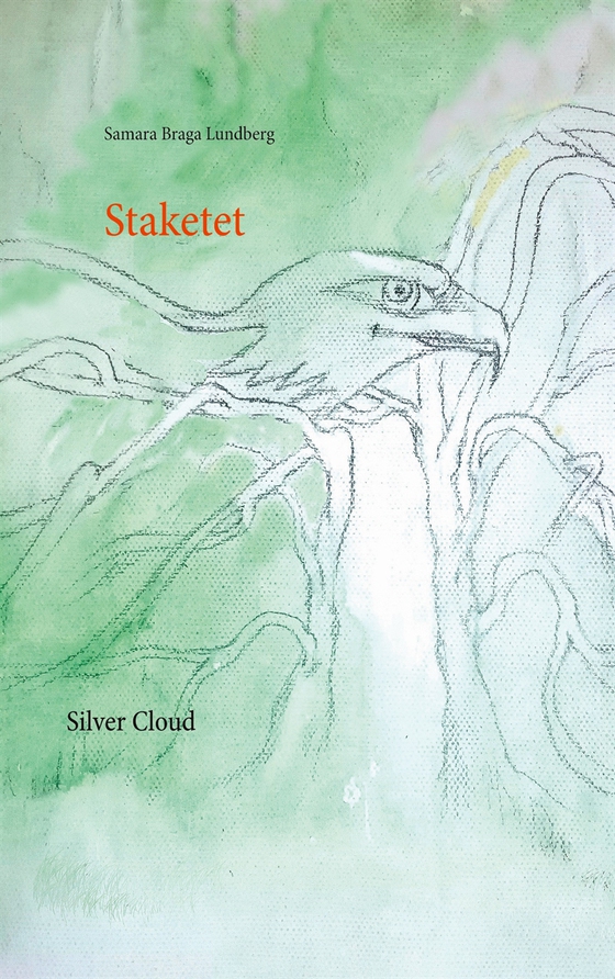 Staketet: SilverCloud