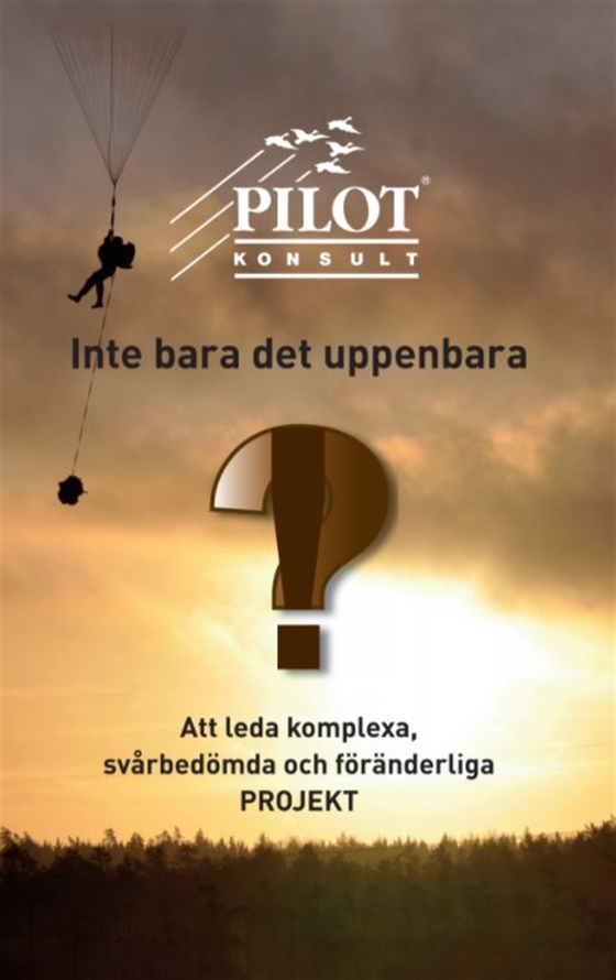 Inte bara det uppenbara (e-bok) av Sten-Åke Hansson