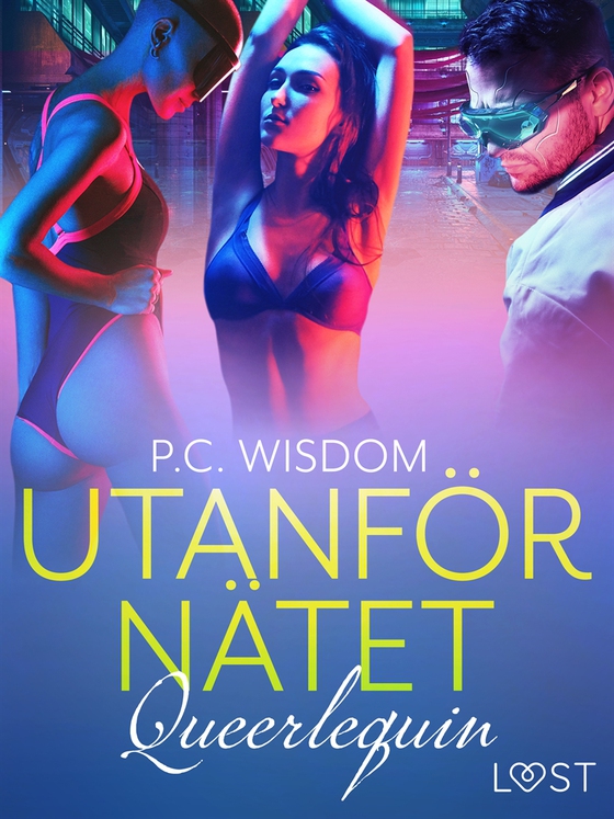 Queerlequin: Utanför nätet (e-bok) av P.C. Wisdom