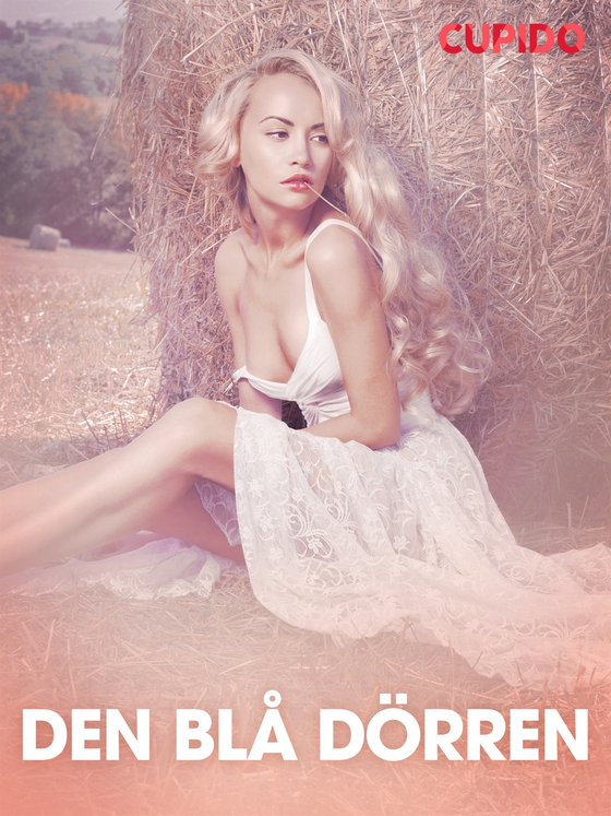 Den blå dörren - erotiska noveller (e-bok) av Cupido