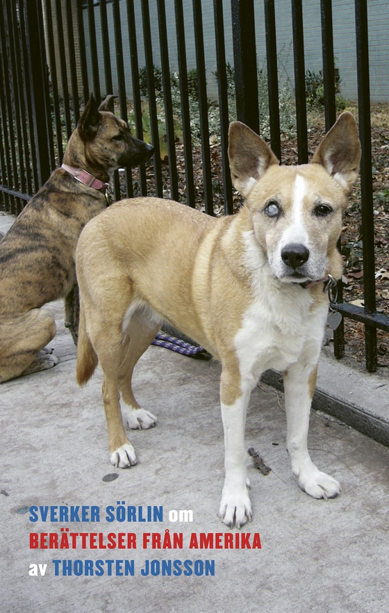 Om Berättelser från Amerika av Thorsten Jonsson