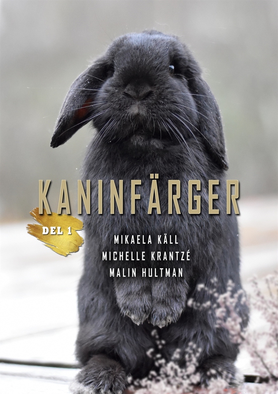 Kaninfärger: Del 1