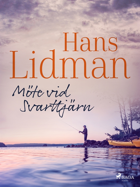 Möte vid Svarttjärn (e-bok) av Hans Lidman
