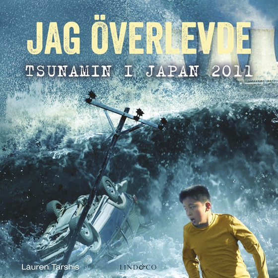 Jag överlevde tsunamin i Japan 2011
