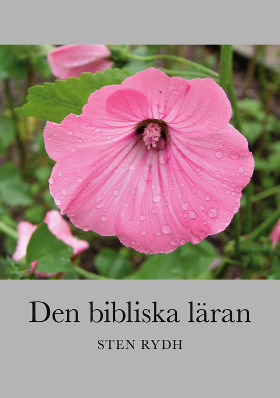 Den bibliska läran: En sammanfattning av den evangelisk-lutherska kyrkans tro och bekännelse (e-bok) av Sten Rydh