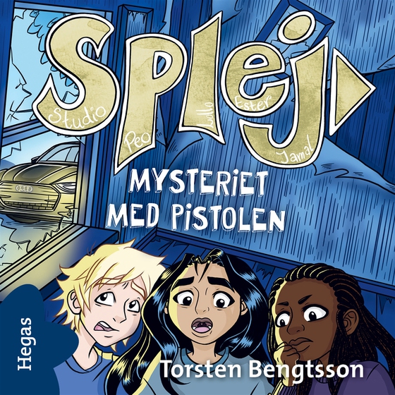 Mysteriet med pistolen