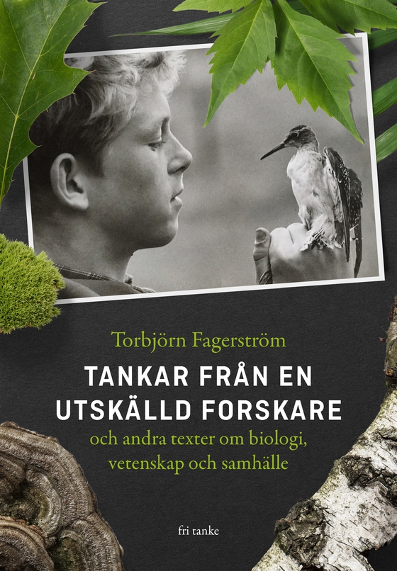 Tankar från en utskälld forskare