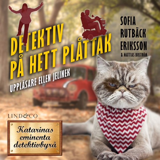 Detektiv på hett plåttak