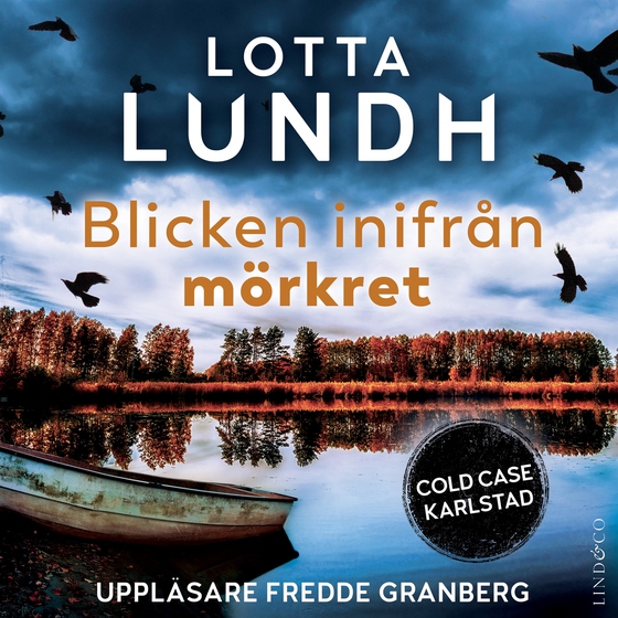 Blicken inifrån mörkret (ljudbok) av Lotta Lundh