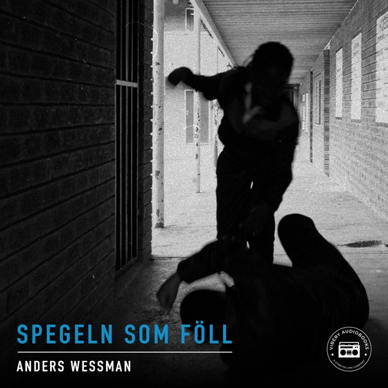 Spegeln som föll - en kriminalroman