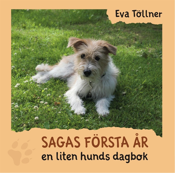 Saga första år - en liten hunds dagbok