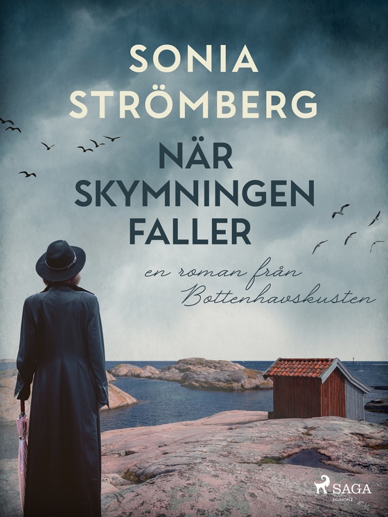 När skymningen faller