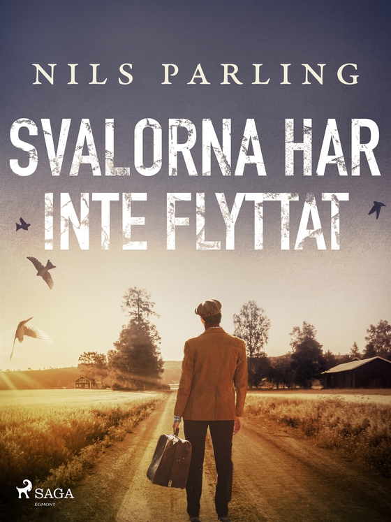 Svalorna har inte flyttat