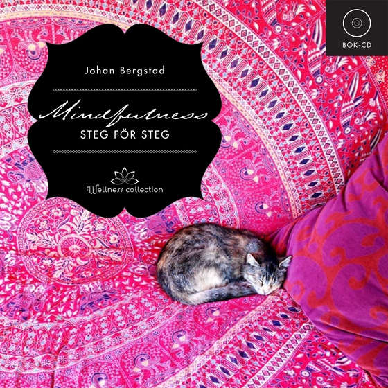 Mindfulness steg för steg