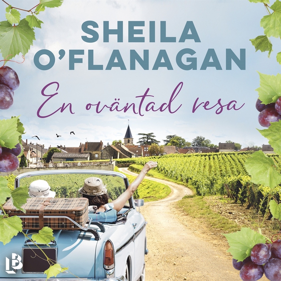 En oväntad resa (ljudbok) av Sheila O'Flanagan
