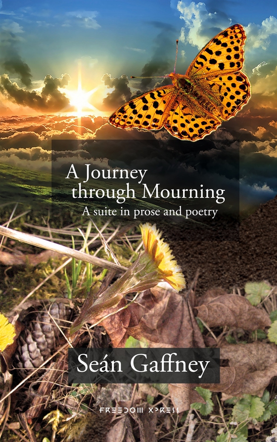 A Journey through Mourning: A suite in prose and poetry (e-bok) av Seán Gaffney