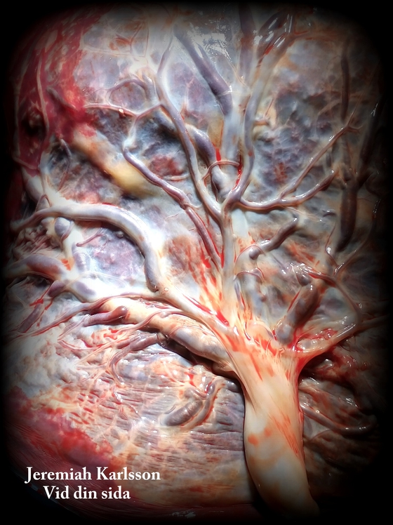 Vid din sida: att vara pappa