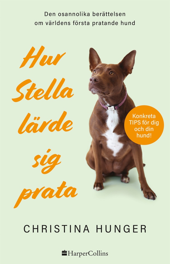 Hur Stella lärde sig prata (e-bok) av Christina Hunger