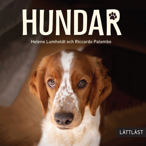 Hundar (lättläst)