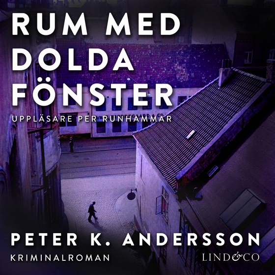 Rum med dolda fönster (ljudbok) av Peter K. Andersson