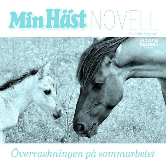 Överraskningen på sommarbetet (ljudbok) av Sofie Berthet