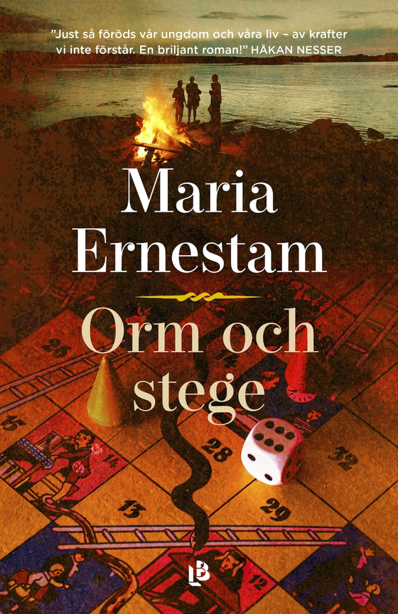 Orm och stege