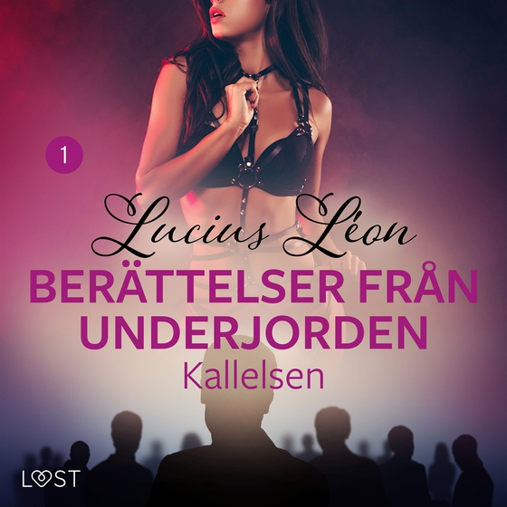 Kallelsen - Berättelser från underjorden 1 (ljudbok) av Lucius Léon