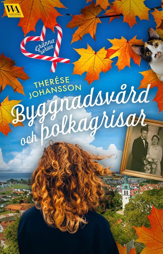 Byggnadsvård och polkagrisar (e-bok) av Therése Johansson