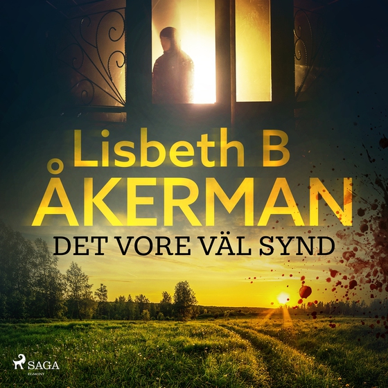 Det vore väl synd ... (ljudbok) av Lisbeth B åkerman