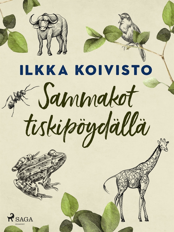 Sammakot tiskipöydällä