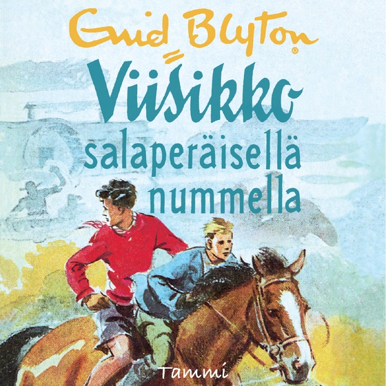 Viisikko salaperäisellä nummella