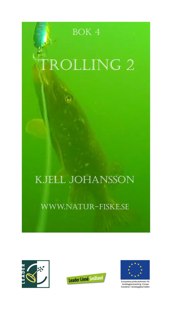 Trolling 2