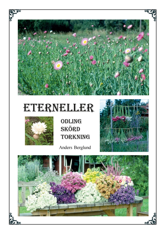Eterneller: Odling skörd torkning