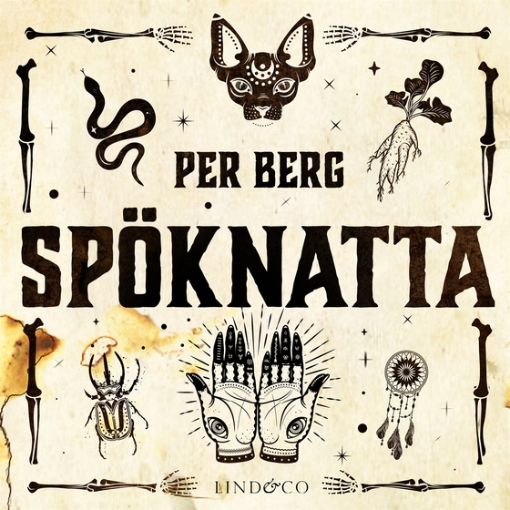 Spöknatta