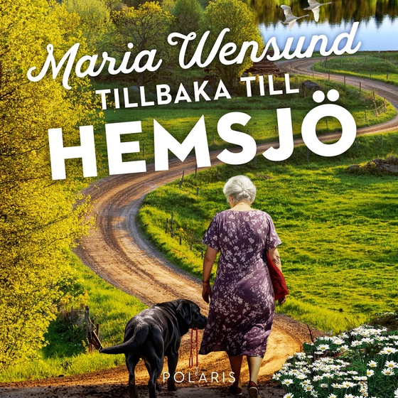 Tillbaka till Hemsjö